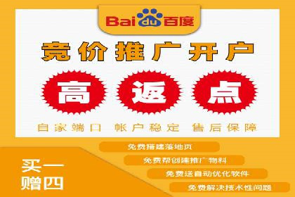 竞价推广实战攻略：成功案例分享